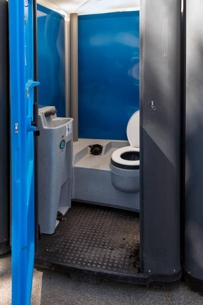Best Sanitation services for porta potties  in Luna Pier, MI