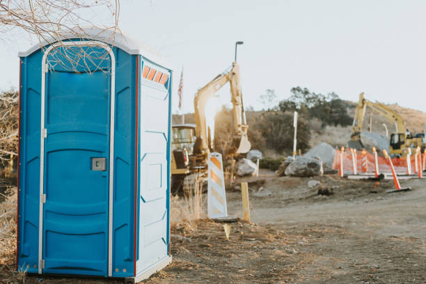 Best Portable bathroom rental  in Luna Pier, MI