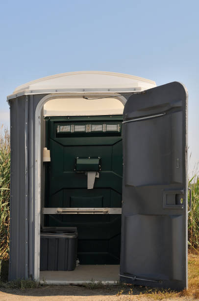 Best Affordable portable toilet rental  in Luna Pier, MI