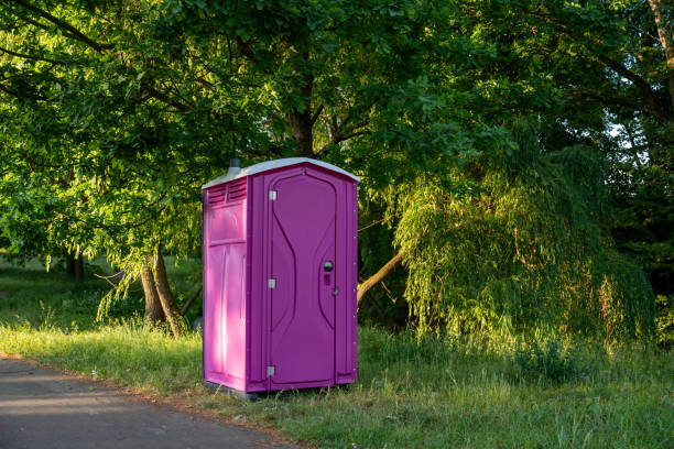 Best Porta potty rental near me  in Luna Pier, MI